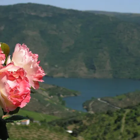 Гостевой дом Casa De Alpajares - & 4*