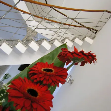 Гостевой дом Casa De Alpajares - &