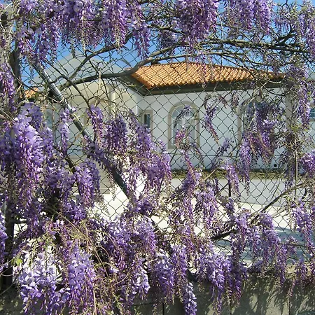 Гостевой дом Casa De Alpajares - & Фрейшу-ди-Эшпада-а-Синта