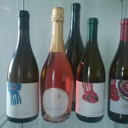 Casa De Alpajares - & 4*