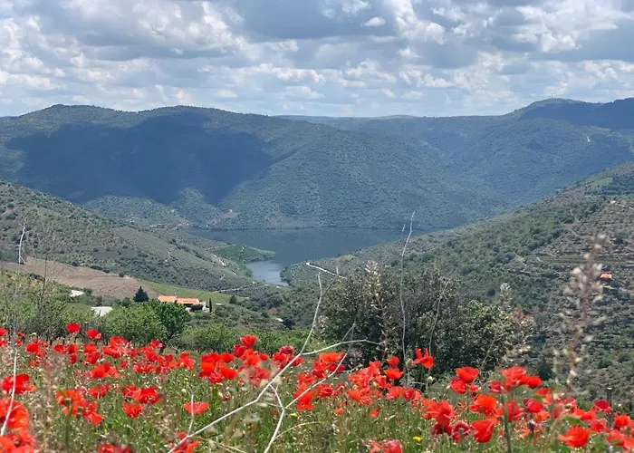 Pensión Casa De Alpajares - Guest House&spa