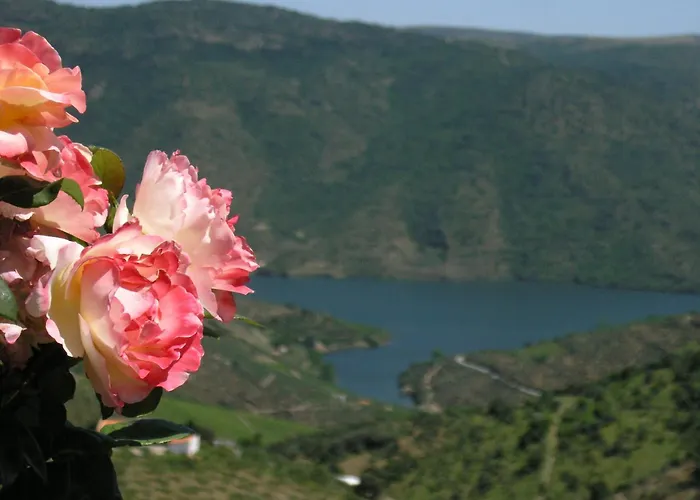 게스트하우스 Casa De Alpajares - & 4*