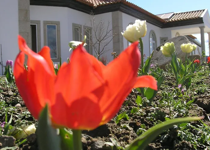 Pensión Casa De Alpajares - Guest House&spa 4*