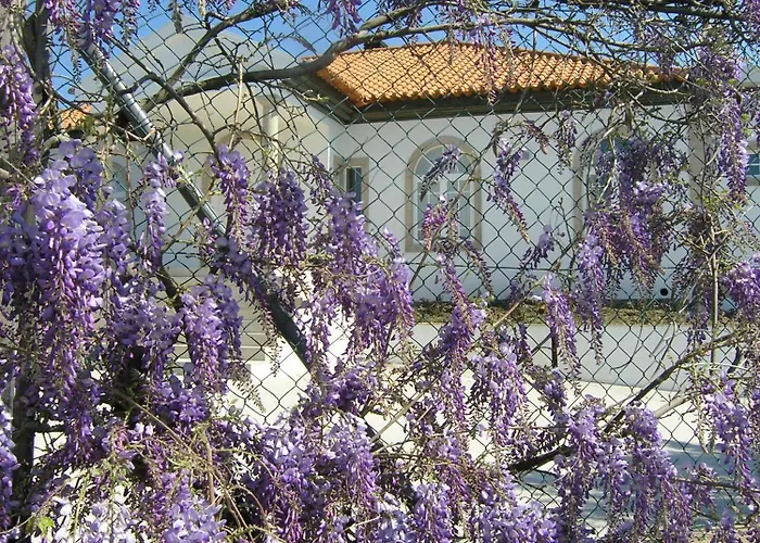 Pensión Casa De Alpajares - Guest House&spa Freixo de Espada à Cinta